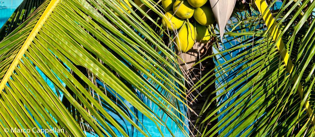 Hotel & Pousada Tatajuba Canoa Quebrada Eksteriør billede